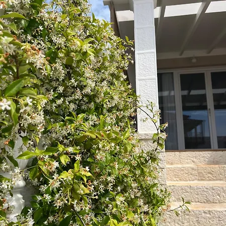 Apartament Seremetis Arillas